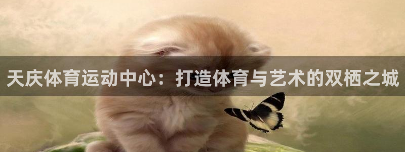 天庆体育运动中心：打造体育与艺术的双栖之城