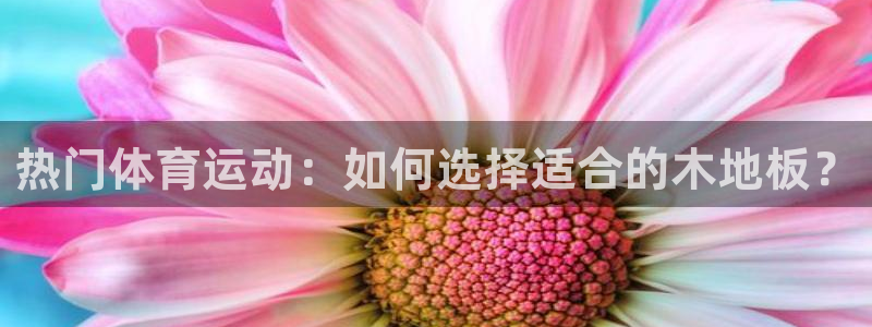 热门体育运动：如何选择适合的木地板？